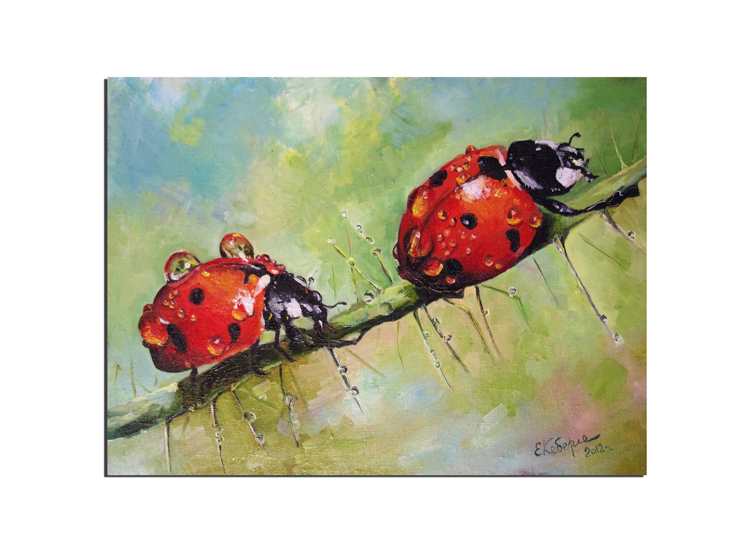 "Маленькие Боги"