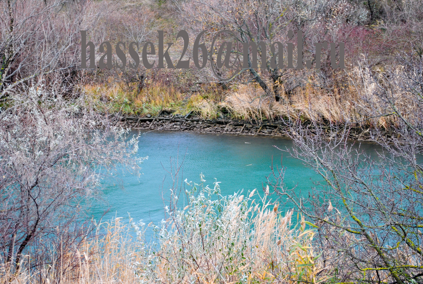 "Голубой" канал