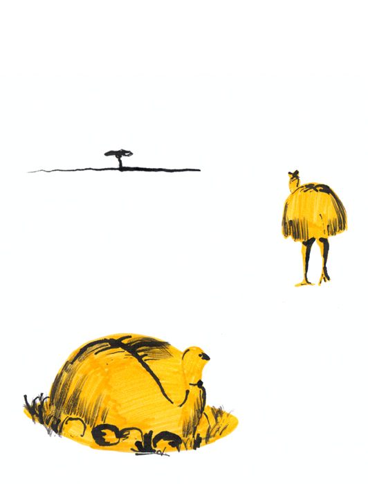 Один факт из жизни страусов эму.