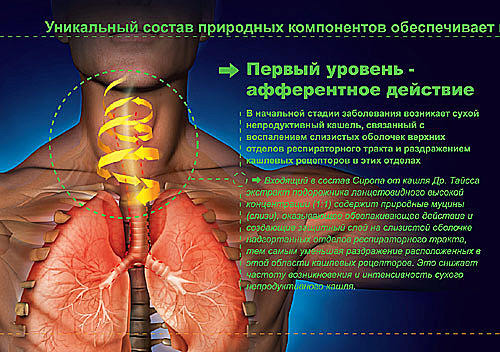Рекламный проспект