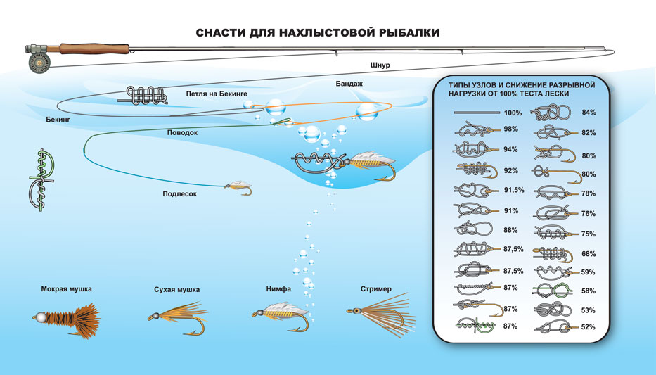 таблица инфографики_2