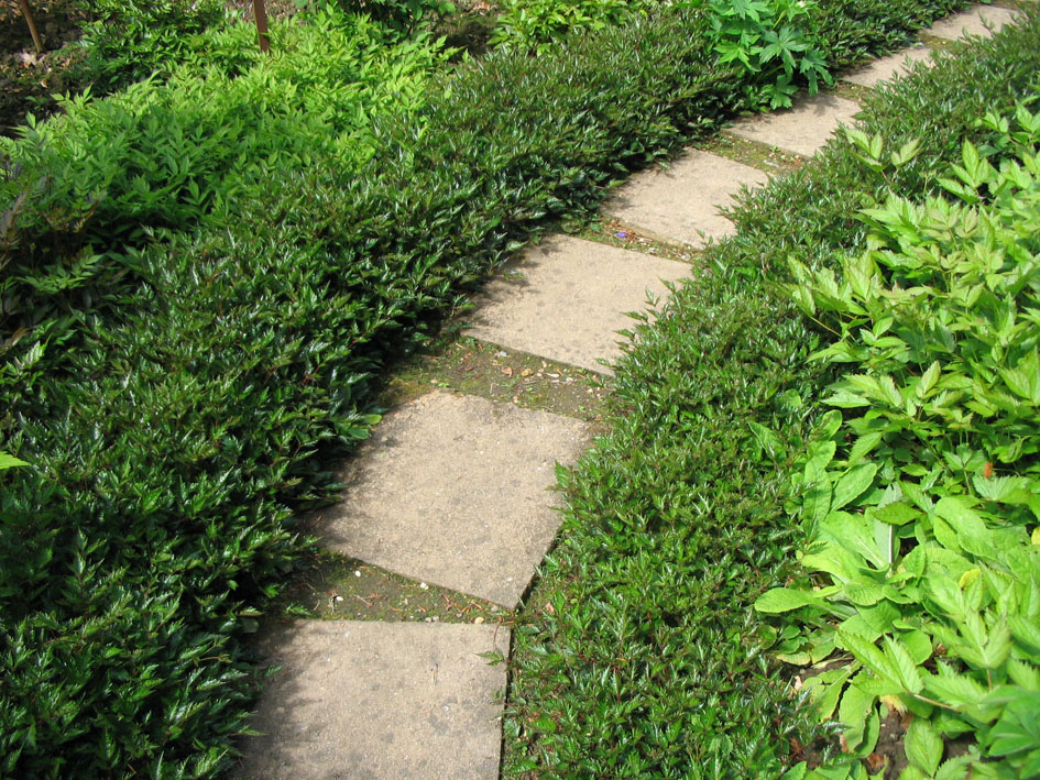 Вриант дорожки