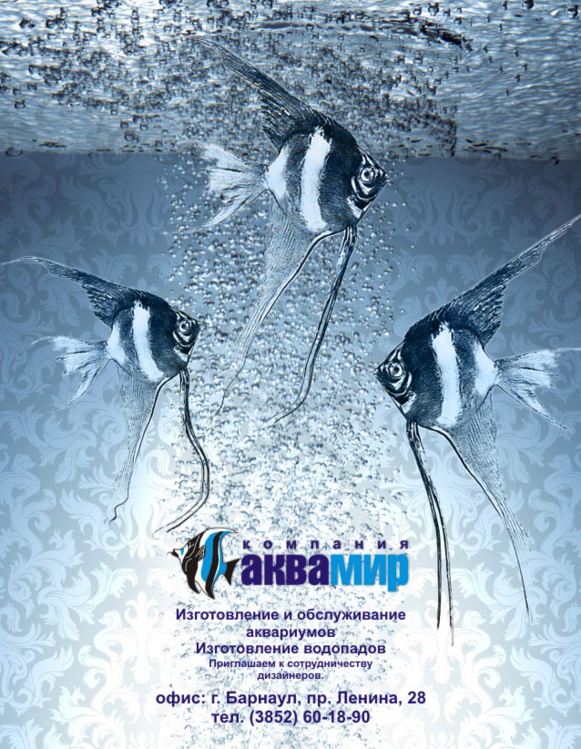 Рекламный модуль в журнал "Аквамир"