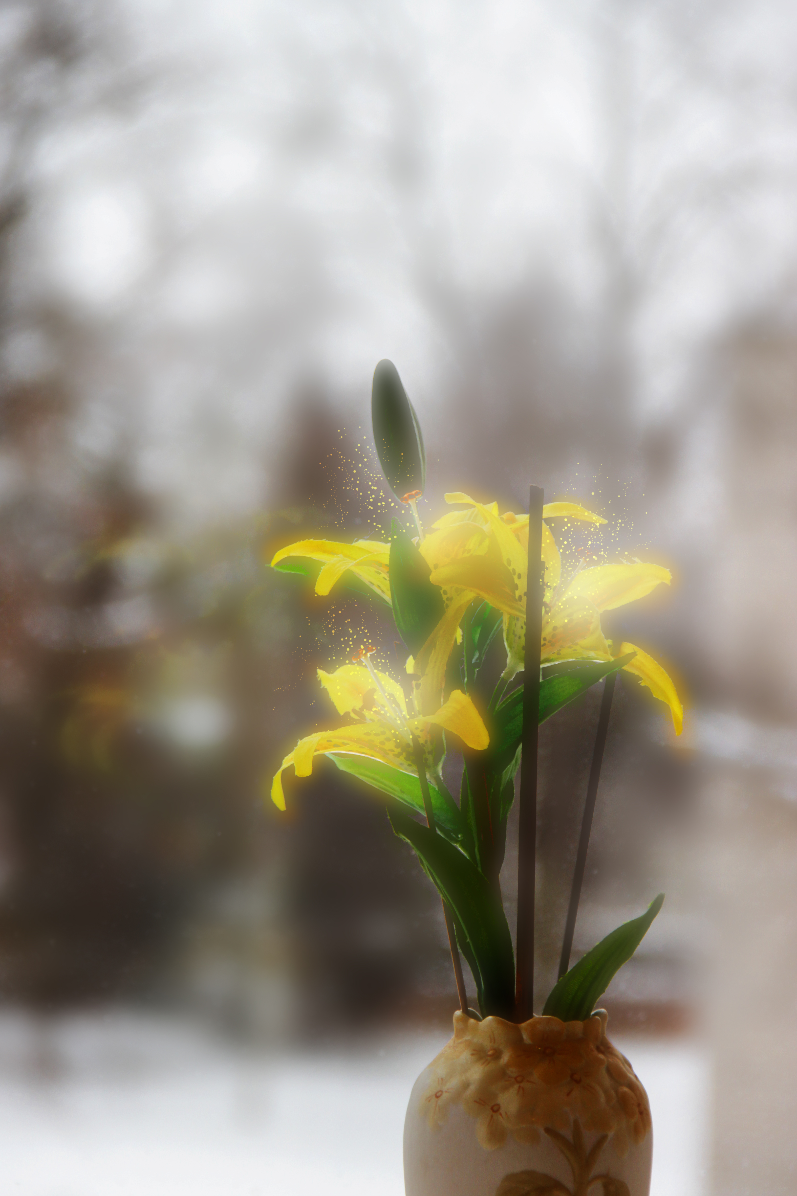 Цветы в декабре