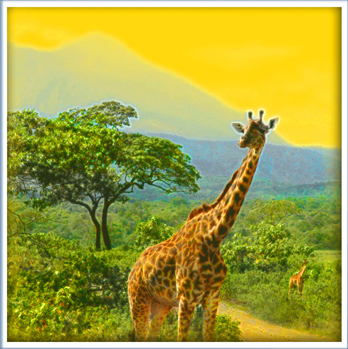 Дружелюбная Африка