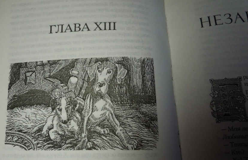 Иллюстрация к книге Д. Бейкер "Небесные мечи"