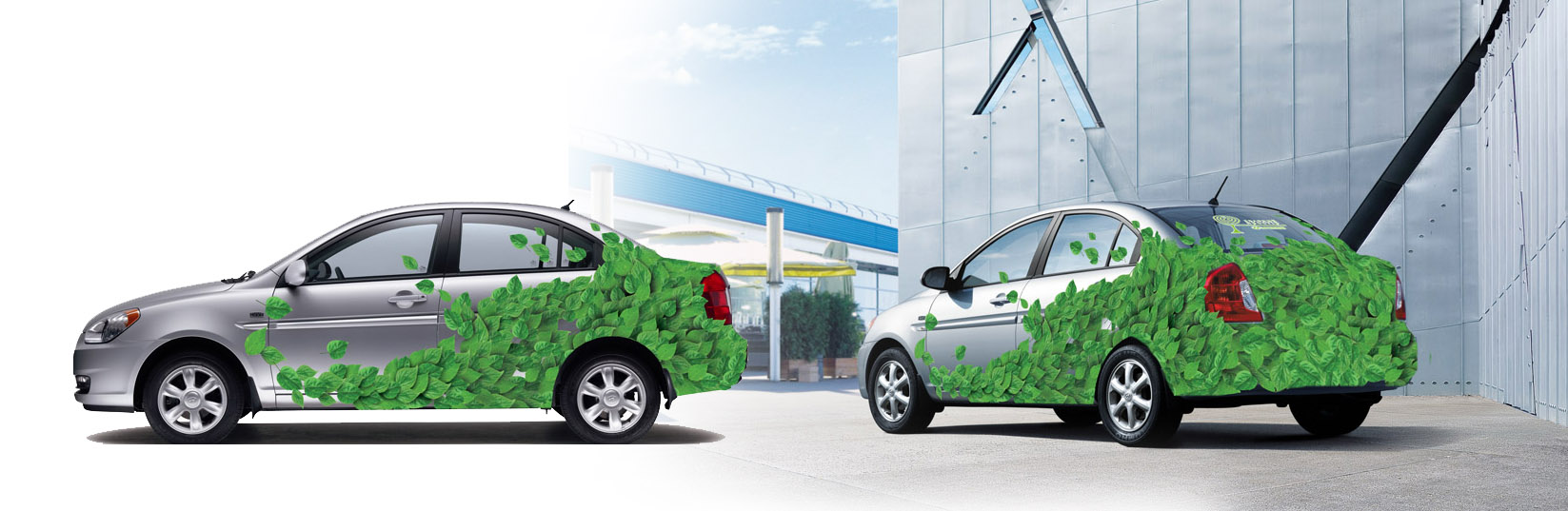 Брендирование авто для акции "Hyundai зелений простір"