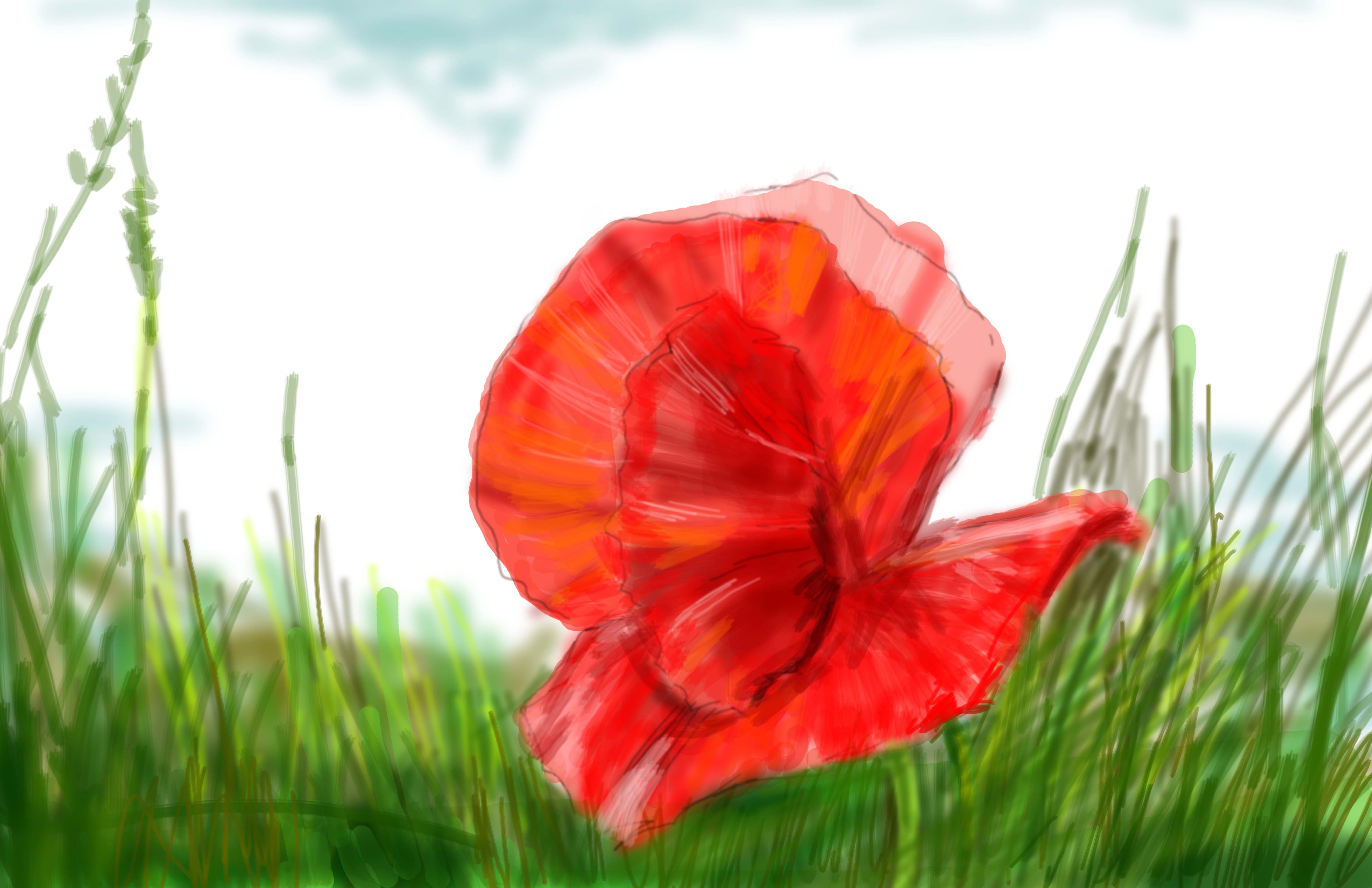 эскиз за 5 минут