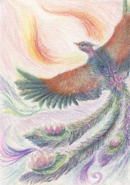 "На крыльях сна"