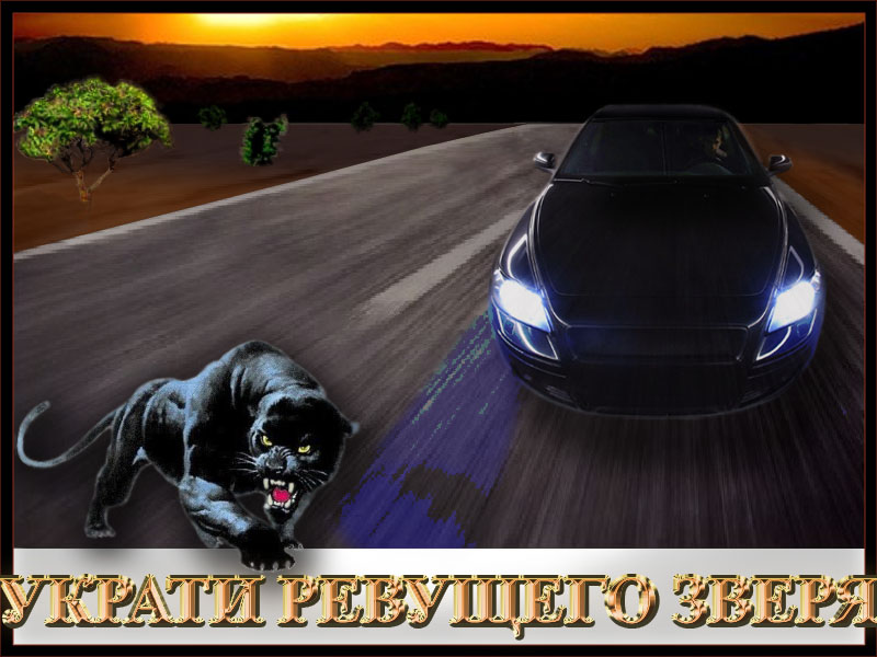 Иллюстрация для сайта