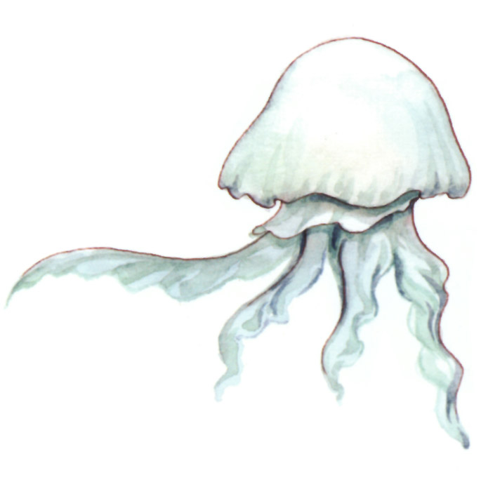 акварель "медуза"