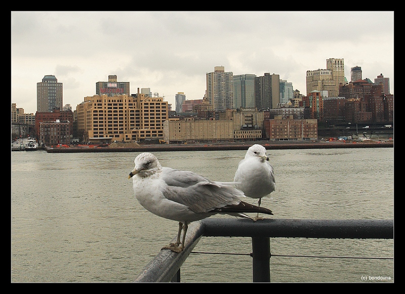 Рыбовладельцы на палубе