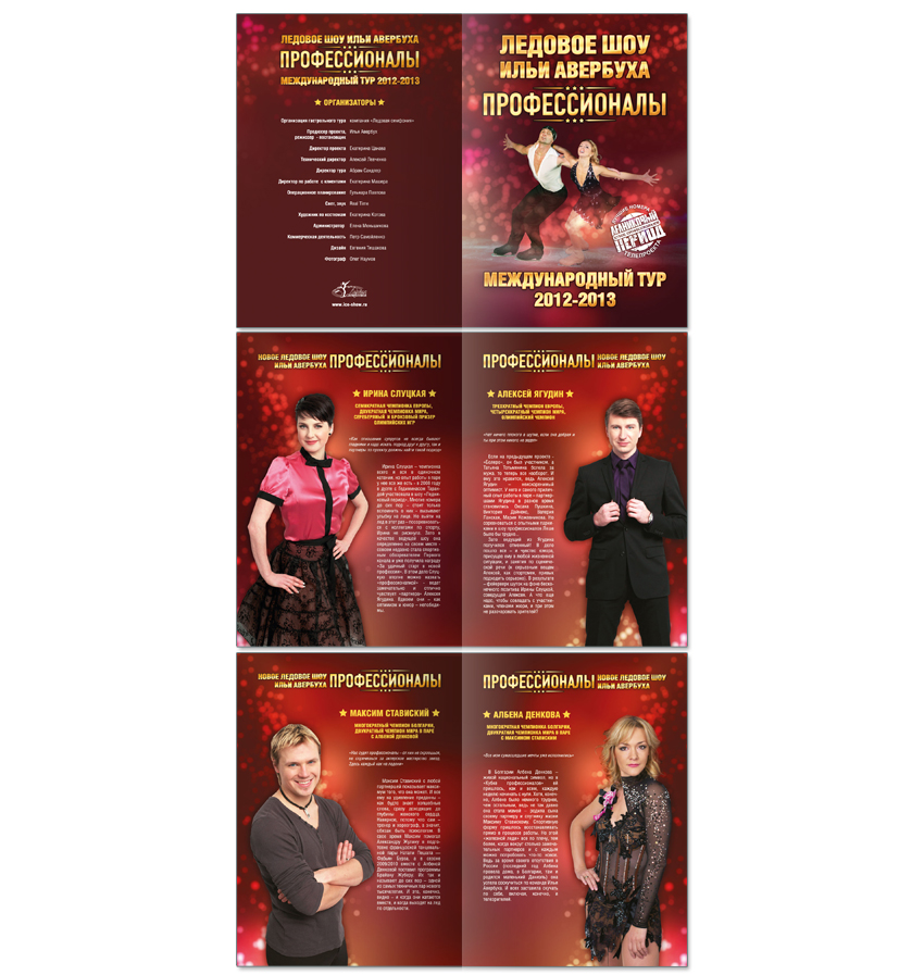 Программка "Профессионалы"