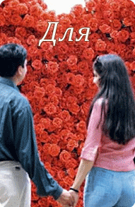 баннер для веб-сайта туристической фирмы "Vita-Travel"