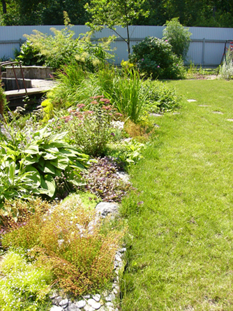 прибрежная зона водоема на частной территории (3)