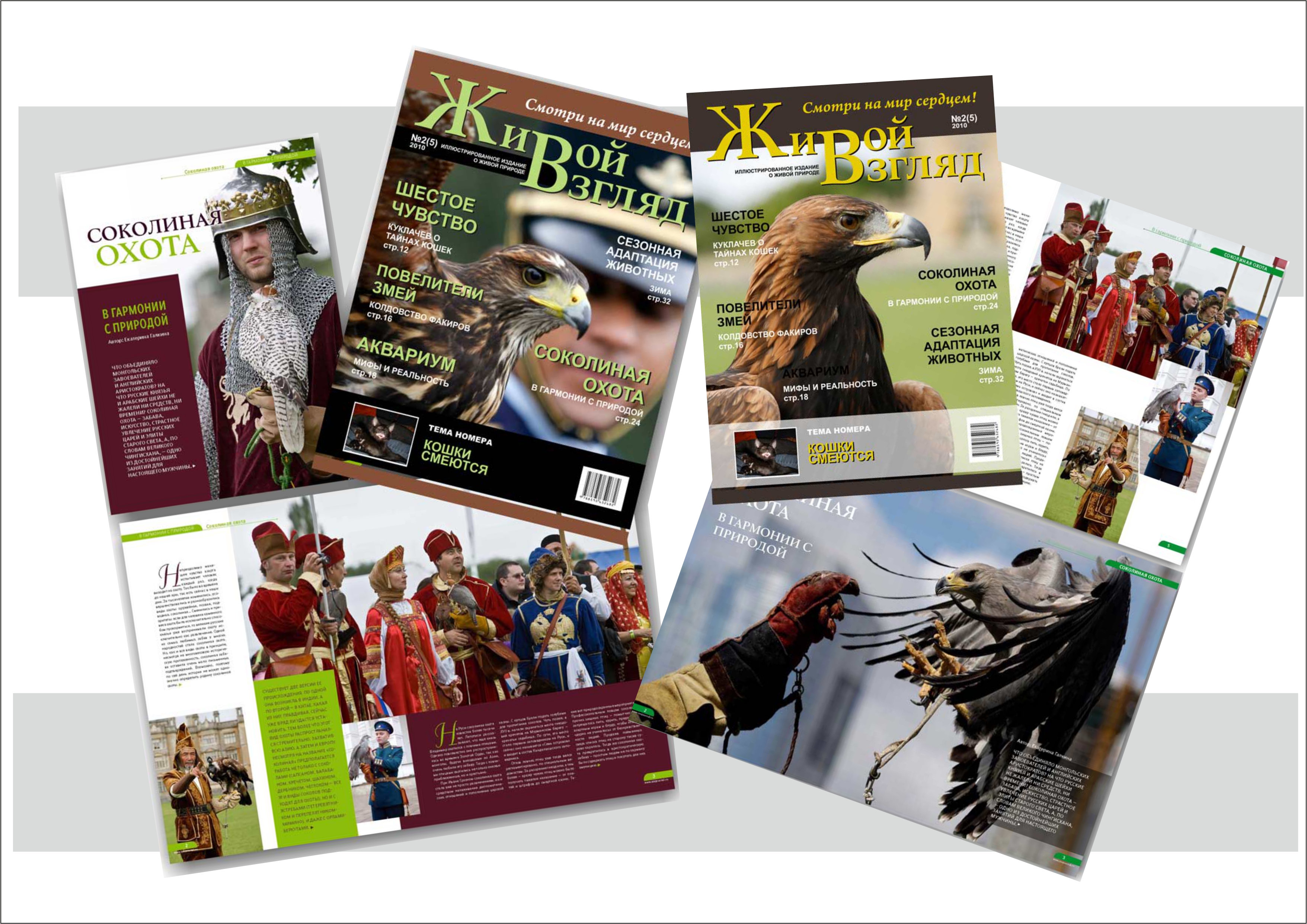 Живой взгляд