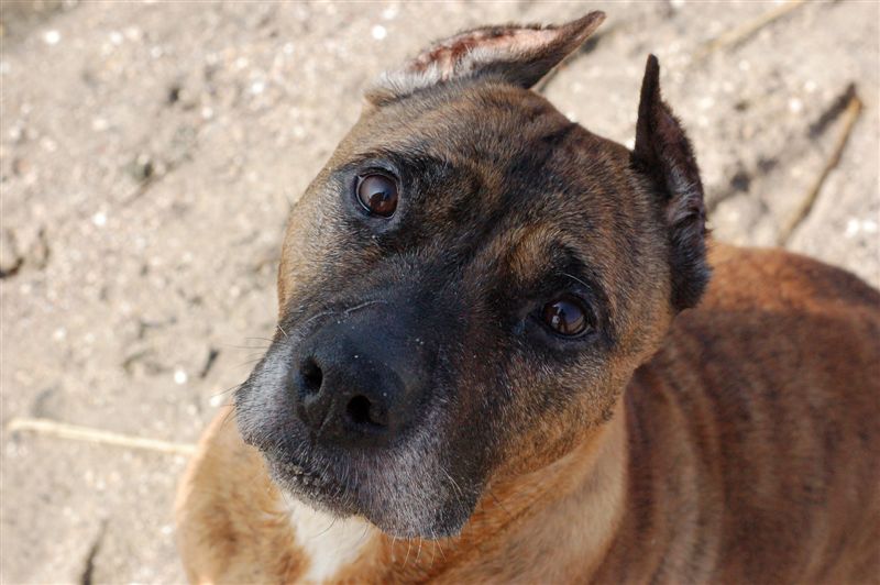 Самая одинокая и разнесчастная... :)