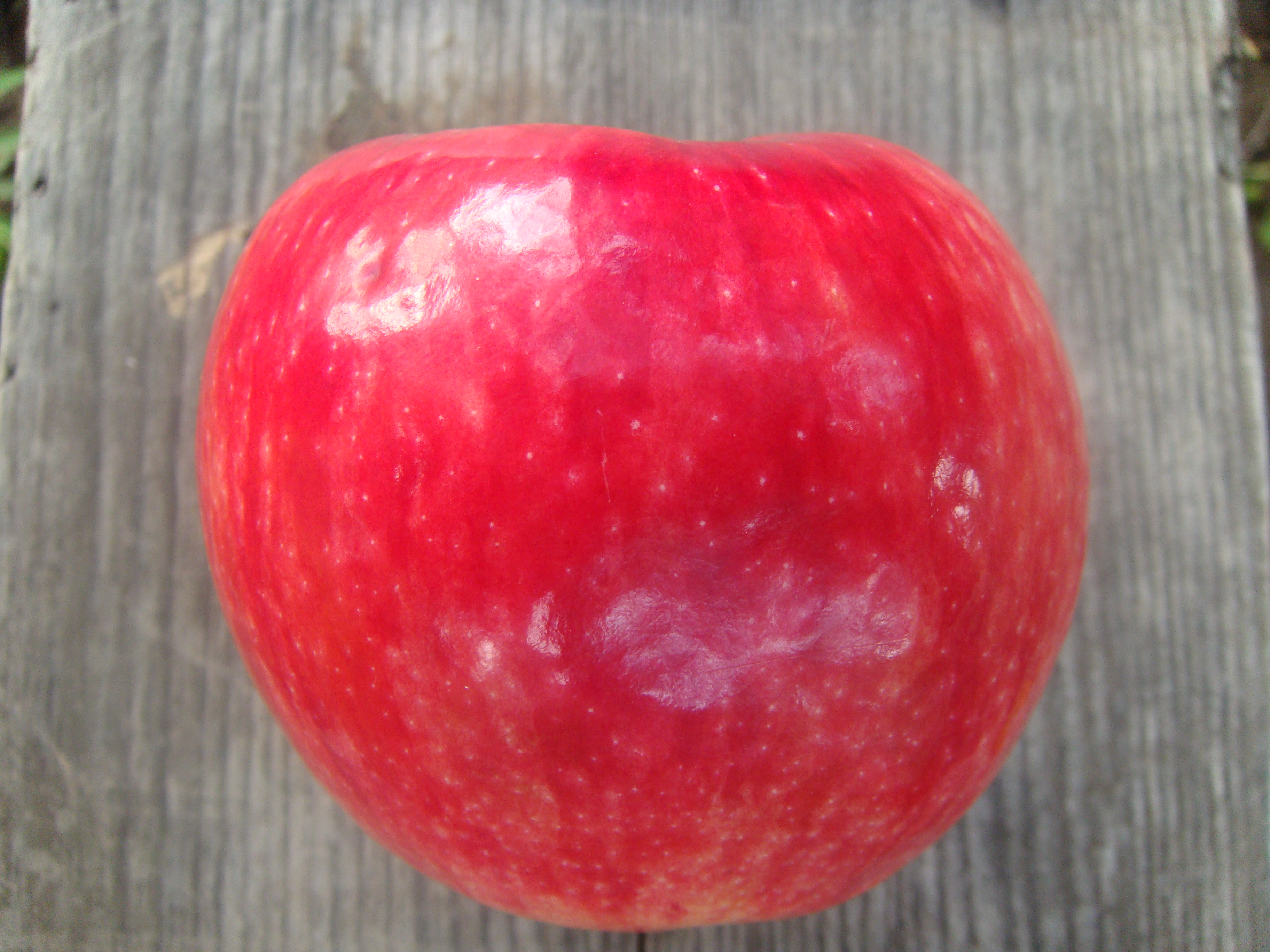 сочное яблоко