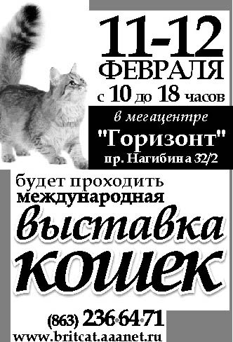 Выставка кошек