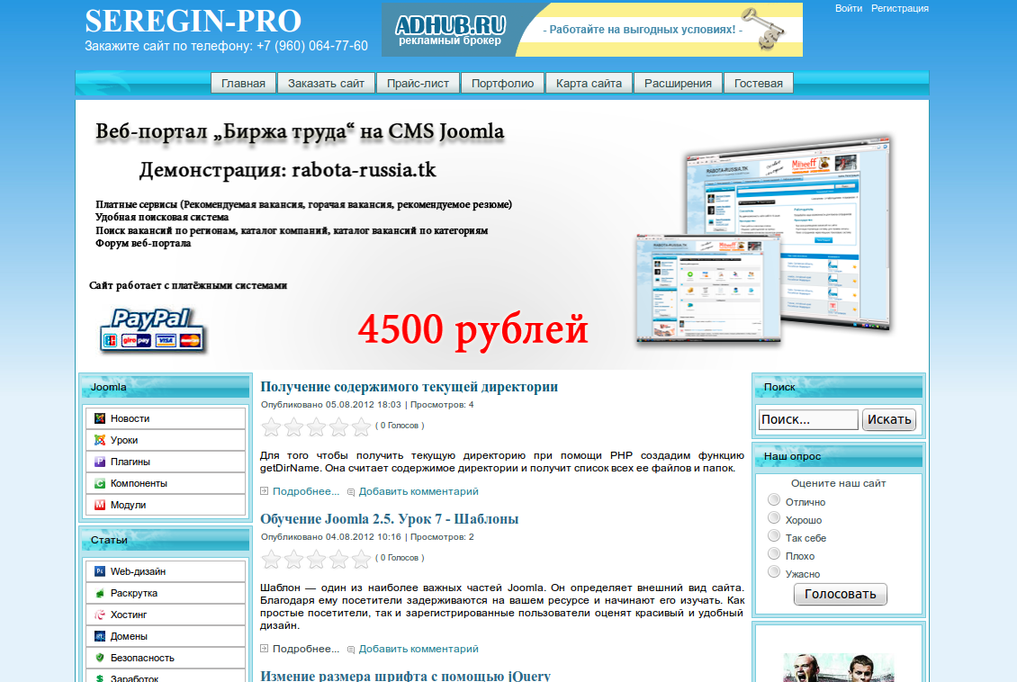 seregin-pro.ru