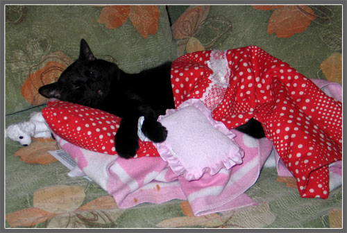 прикрепленный файл