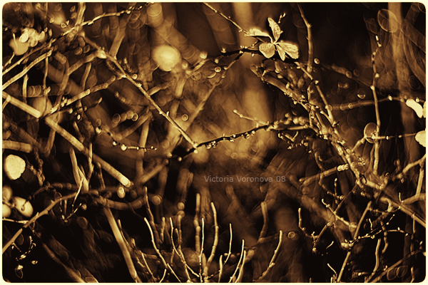 Ночная съемка