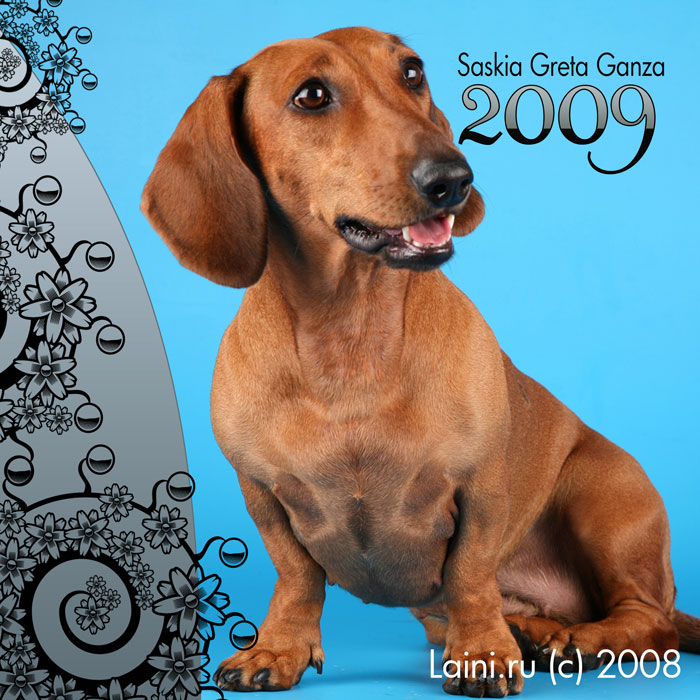 Обложка для календаря