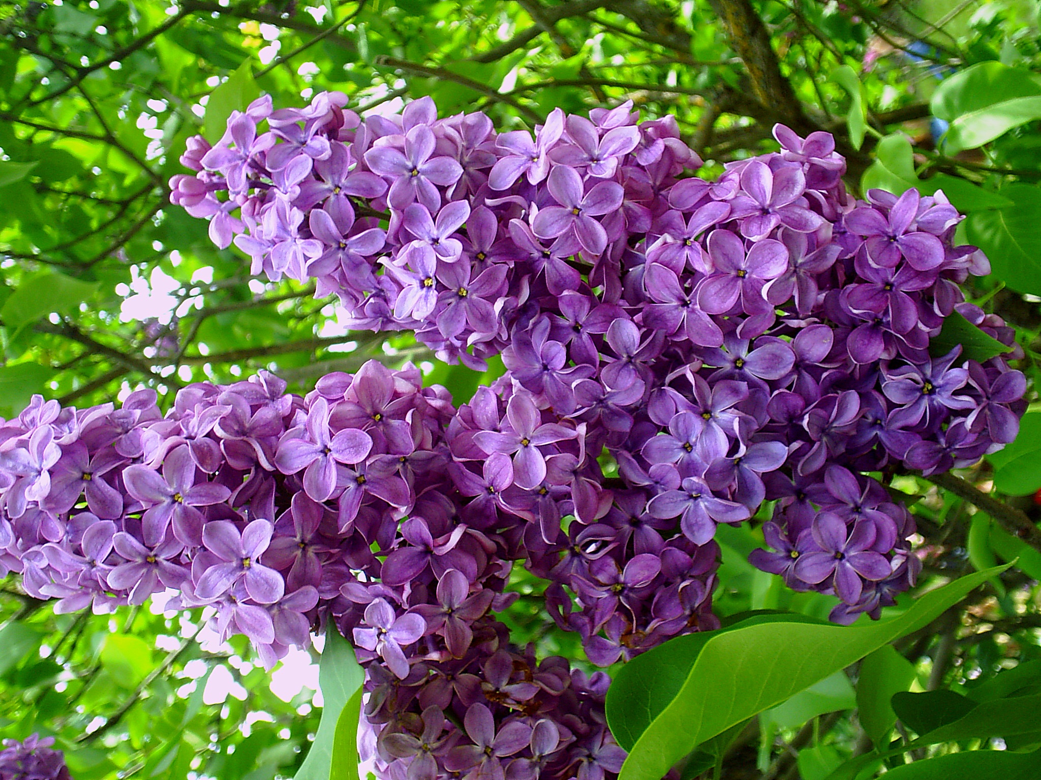 Мимоходом, через объектив