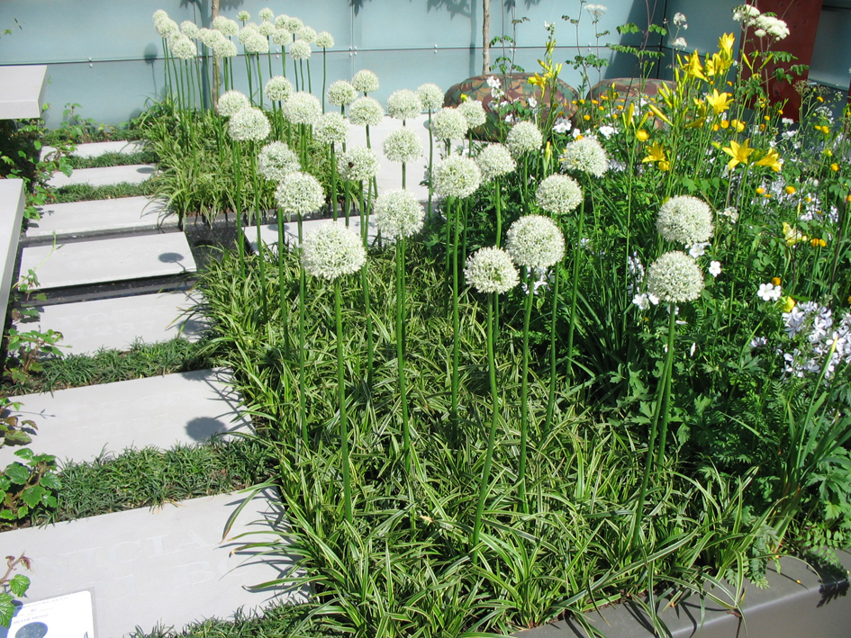 Ландшафтный дизайн