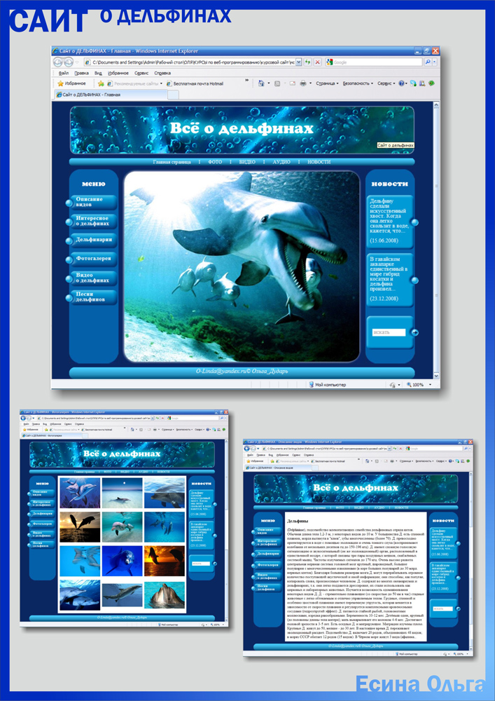 О дельфинах