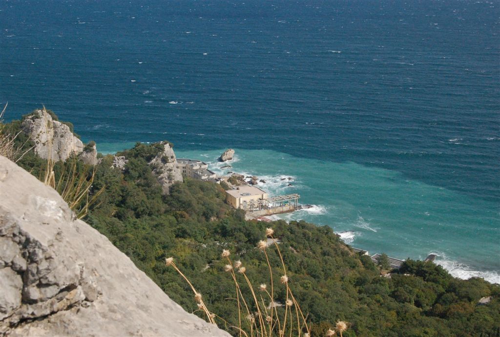 Цвет прибоя