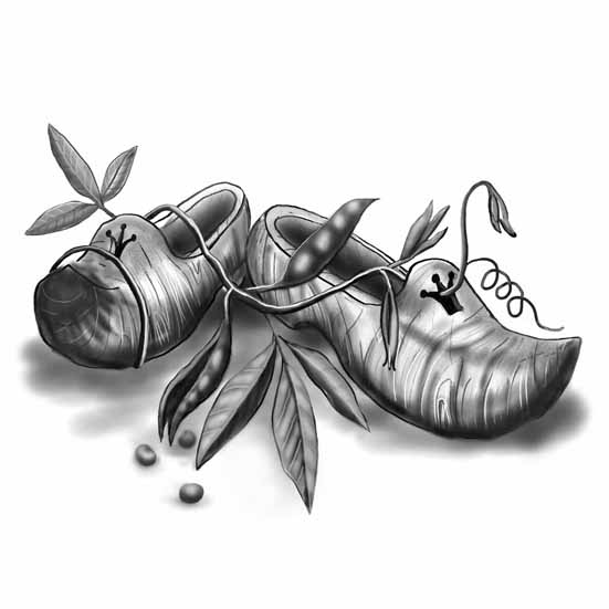 Clogs (Illustration:"Three Shoes in a Pair" by Ed.Holden)