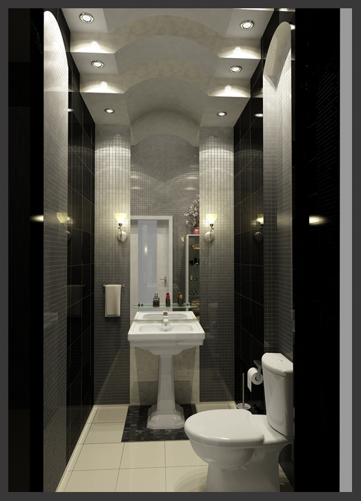 3 D визуализация Су черный