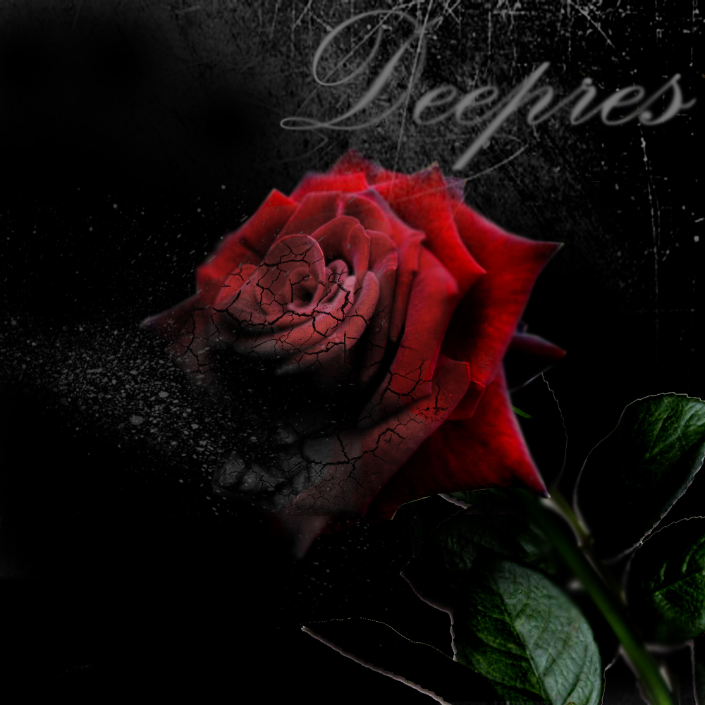 Обложка Диска