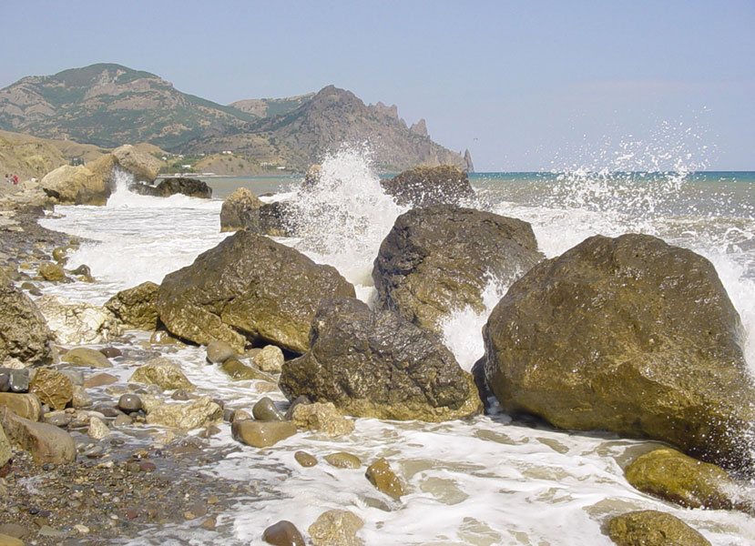 Без названия