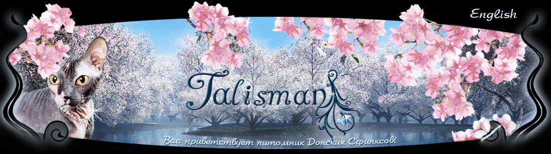 Шапка сайта Донских Сфинксов