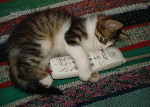 "Как скажешь, милый - так и будет!"