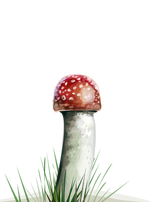 пошленький грибочек