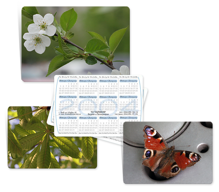 Календарик компании Нирмала