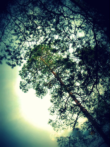 Из серии "Осень"