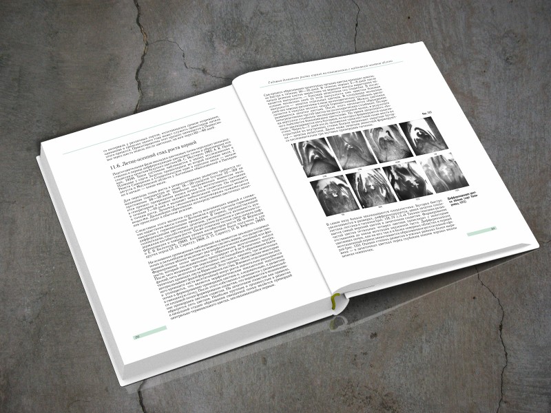 Книга, разворот