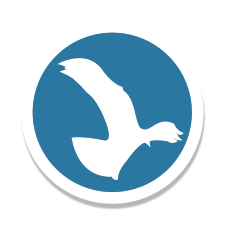 Лого нашей компании