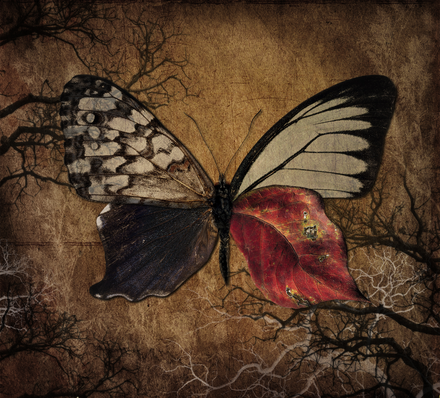 Коллаж "Осень"