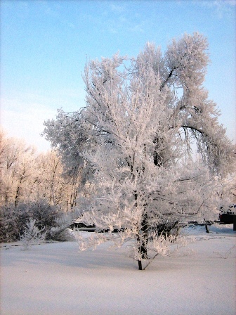 Зимние утро