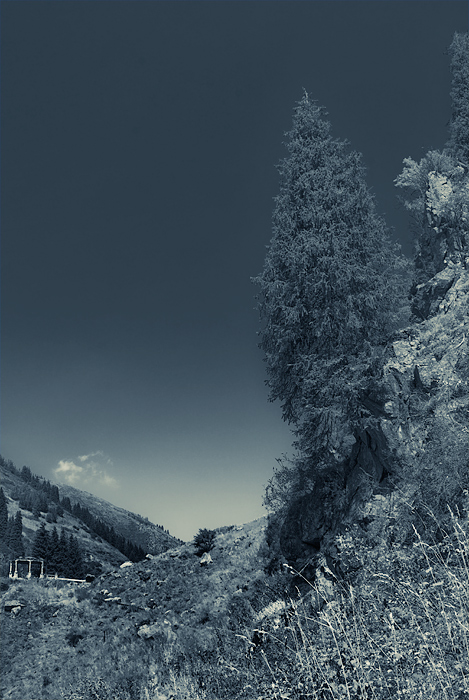 Холодное лето