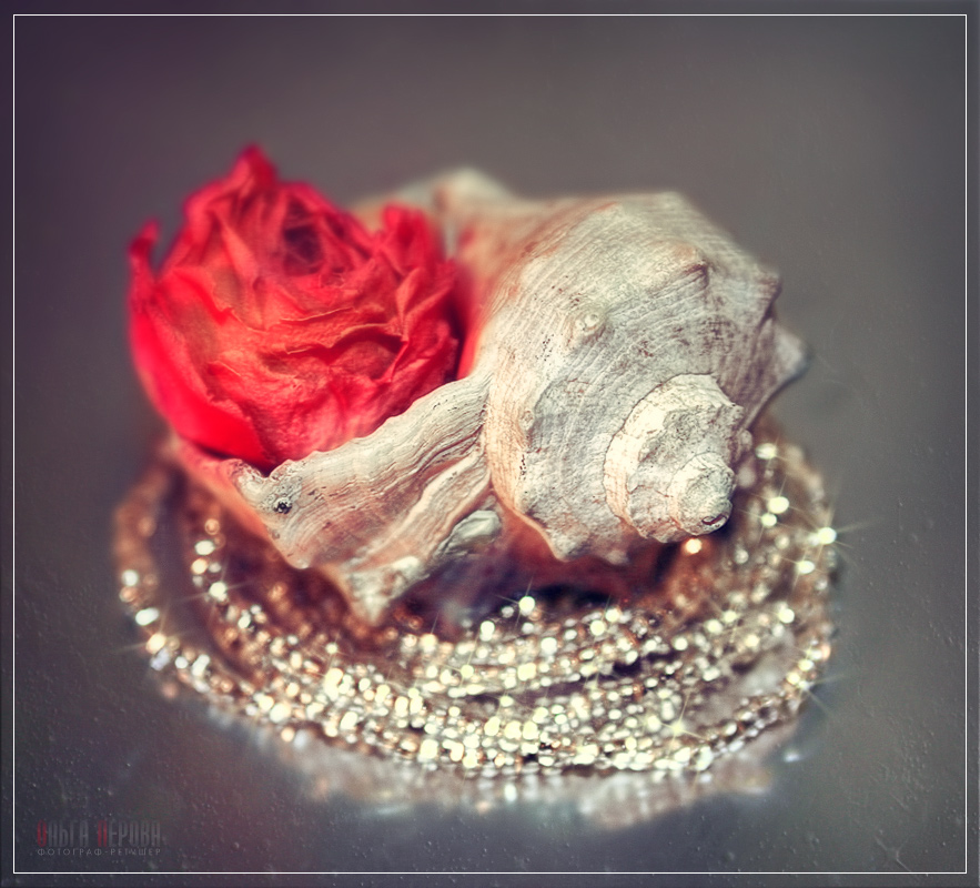 Композиция