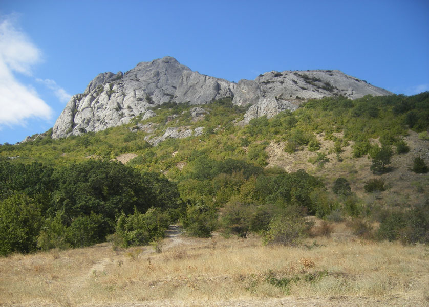 Без названия