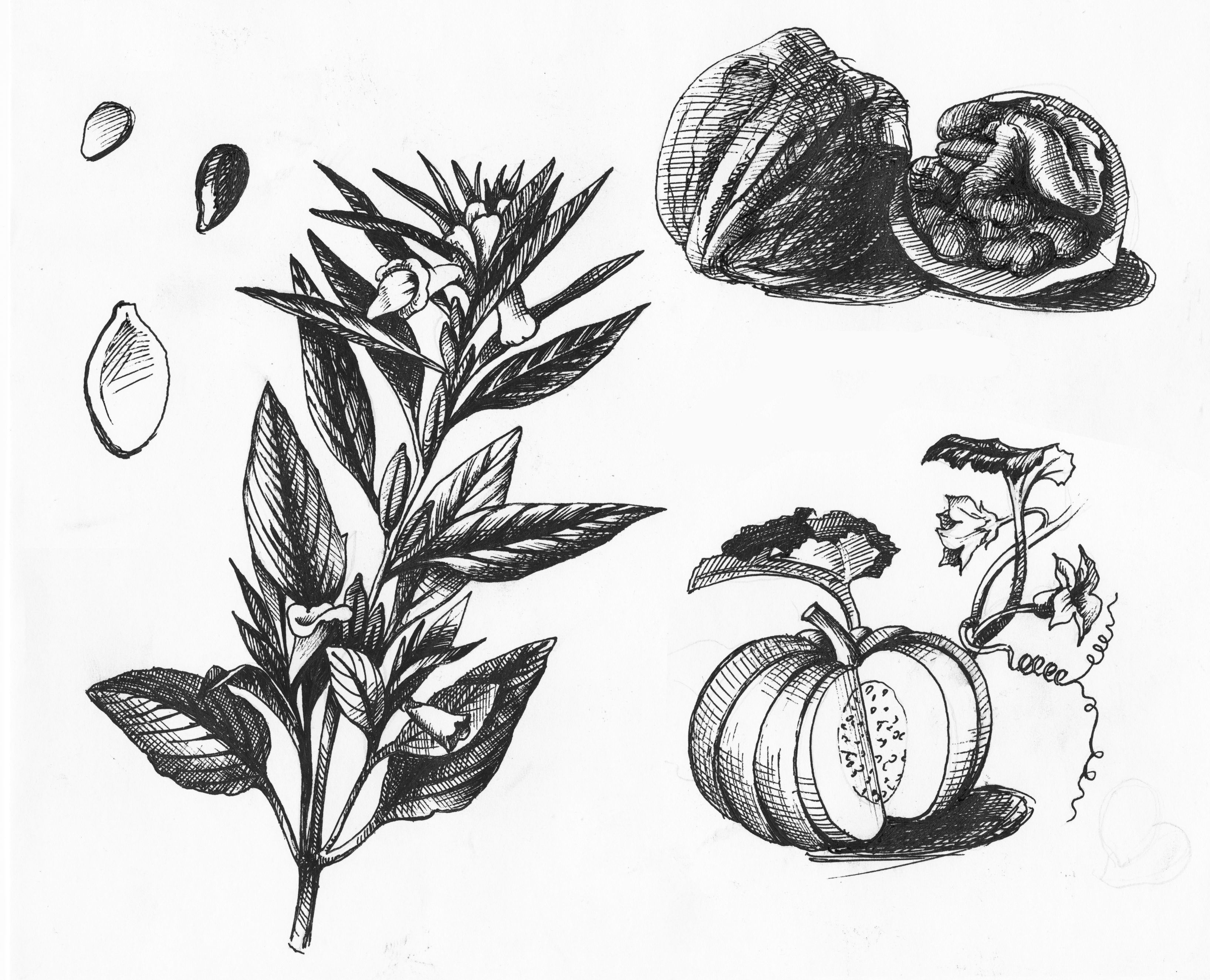 Рисунок на некхенгер для масла