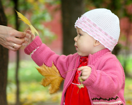 осенний подарок