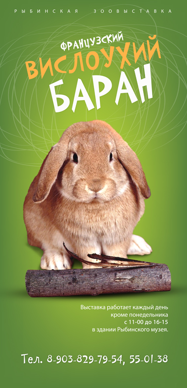 Плакат для зоовыставки